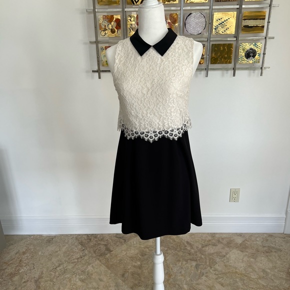 Olivia | Lace Collar Mid-Length Dress